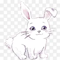 水彩手绘可爱兔子