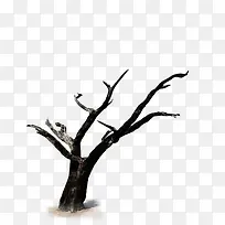 黑色干枯的树