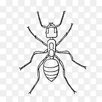手绘卡通昆虫蚂蚁