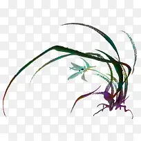 水彩兰花
