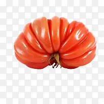人工种植的番茄