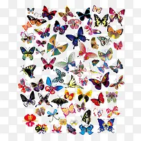 几十种漂亮花蝴蝶矢量素材
