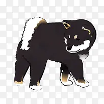 手绘黑色柴犬矢量图