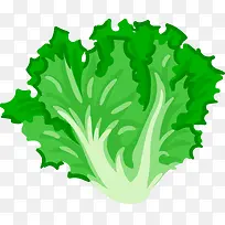 绿色的蔬菜