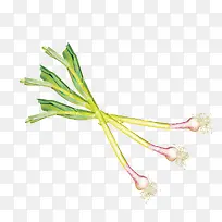 手绘新鲜绿色食物设计