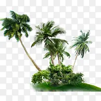 海岛椰树风景