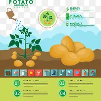 种植土豆