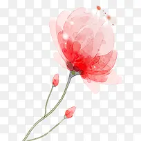 红色唯美装饰花卉设计图