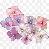 彩色唯美装饰小型花朵装饰图