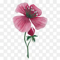 手绘粉色小花海报
