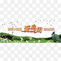 鸟