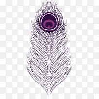 紫色飘逸的靓丽羽毛