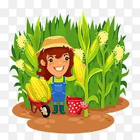 农田里掰玉米的农村妇女