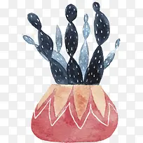 手绘盆栽黑色仙人掌