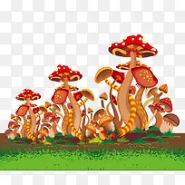 蘑菇丛林