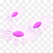 创意合成紫色的邹菊花朵