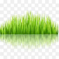 绿色草丛植物矢量图