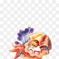 贝壳插画矢量图