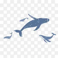 手绘梦幻海洋装饰插图海豚鲸鱼插