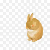 害羞的黄色兔子卡通