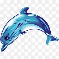 夏日蓝色海底动物鲸鱼