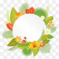 热带植物