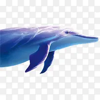 夏日鲸鱼蓝色海洋卡通效果