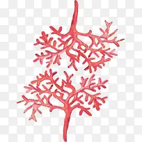 红色手绘珊瑚花纹