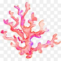 粉色水彩画珊瑚