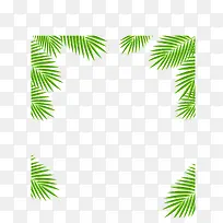 夏日叶子边框纹理