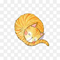 睡觉猫咪