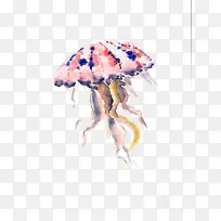粉色水母