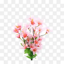 花瓶里簇拥的桃花枝