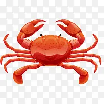 一只红色的大闸蟹