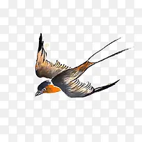 卡通手绘飞翔的燕子