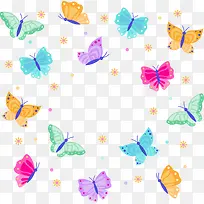 彩色飞舞的蝴蝶