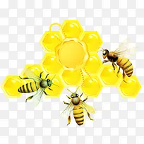 手绘蜜蜂和蜂王浆素材