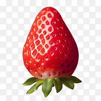 红色诱人的大草莓