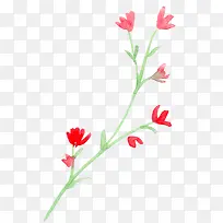 手绘花朵