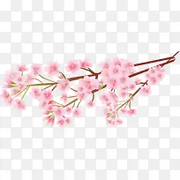 粉色美丽春季花枝