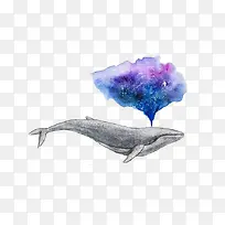 喷水的鲸