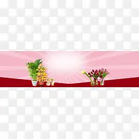 花卉banner海报