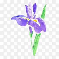 手绘花草