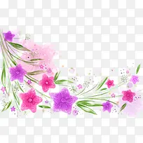 粉紫色花藤