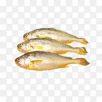 鱼 