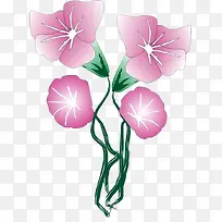 四朵相对的牵牛花