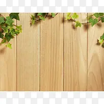 木板背景与藤蔓背景