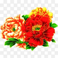 手绘高清牡丹花开业宣传