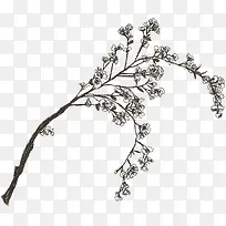 黑白花卉树枝图