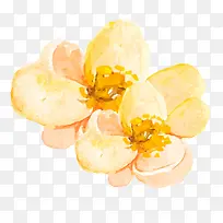 黄色花朵手绘水彩花朵设计素材